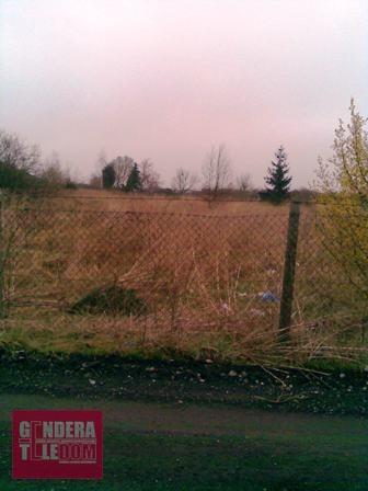 działka 10000m2 - Poznań