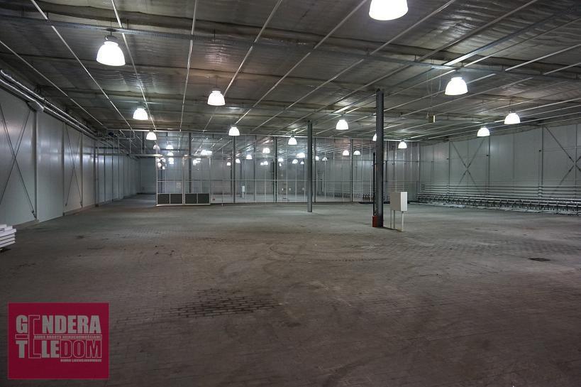 lokal użytkowy 1600m2 - Czerwonak