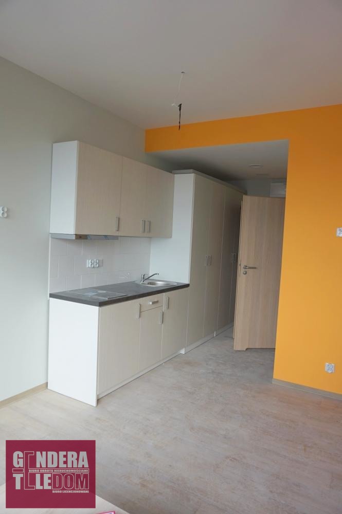 mieszkanie 100m2 - Poznań