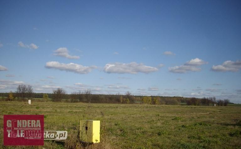 działka 1658m2 - Rogalin