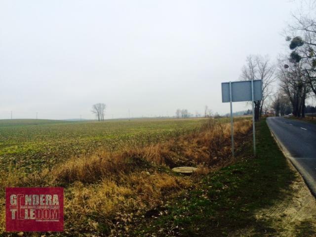 działka 50000m2 - Tarnowo Podgórne