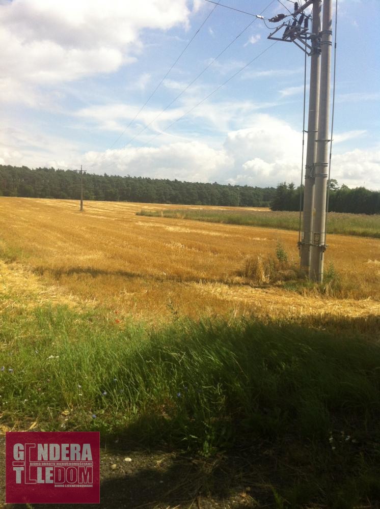 działka 2500m2 - Bolechowo