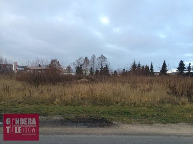 działka 70000m2 - Robakowo