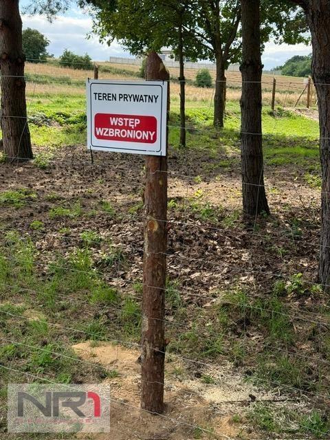 Działka Łężeczki – na sprzedaż