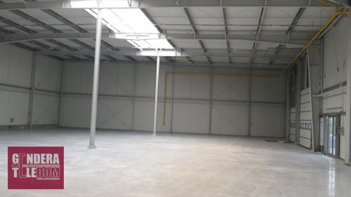 lokal użytkowy 900m2 - Poznań