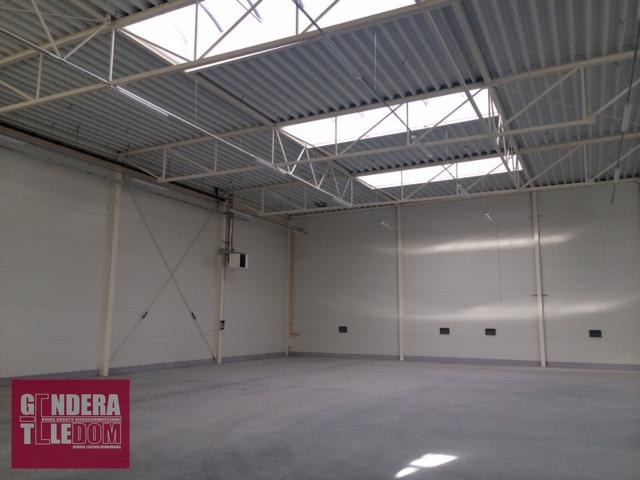 lokal użytkowy 1700m2 - Poznań