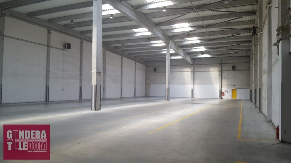 lokal użytkowy 950m2 - Poznań-Wilda
