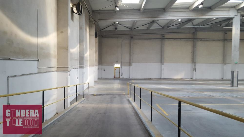 lokal użytkowy 940m2 - Poznań