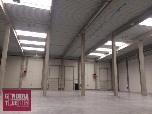 lokal użytkowy 670m2 - Komorniki
