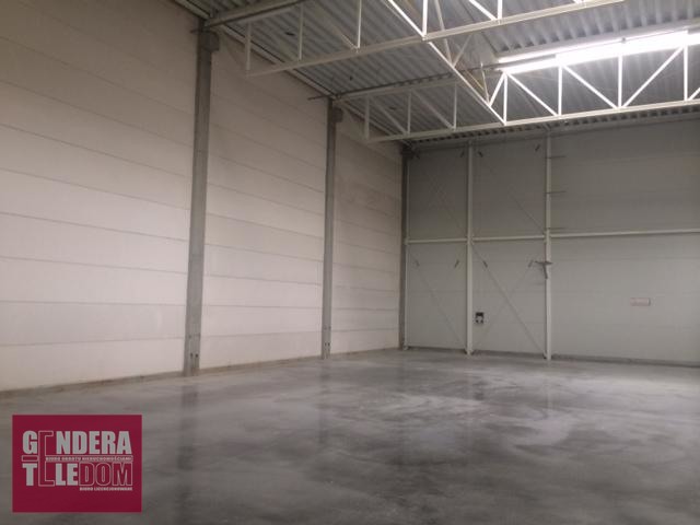 lokal użytkowy 700m2 - Tarnowo Podgórne