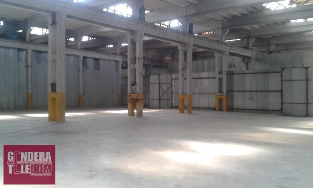 lokal użytkowy 2000m2 - Poznań