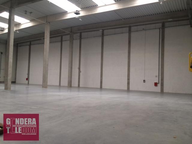 lokal użytkowy 1500m2 - Kórnik