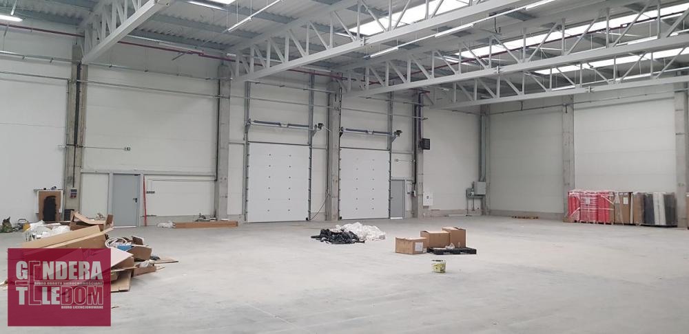lokal użytkowy 702m2 - Poznań
