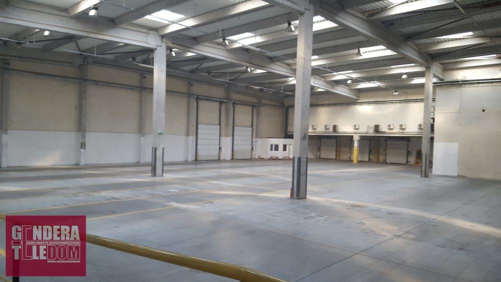 lokal użytkowy 2100m2 - Poznań