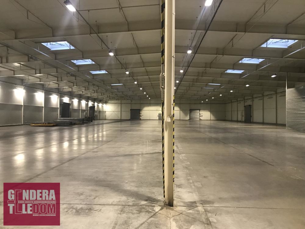 lokal użytkowy 1800m2 - Sady