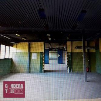 lokal użytkowy 550m2 - Suchy Las
