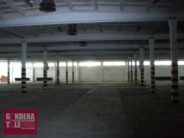 lokal użytkowy 1000m2 - Poznań