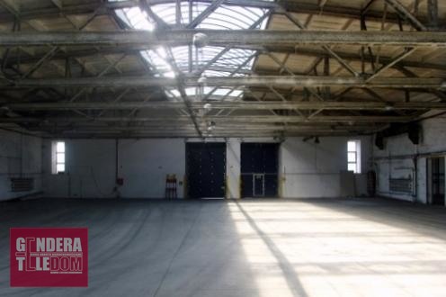 lokal użytkowy 3000m2 - Poznań