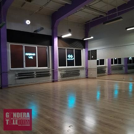 lokal użytkowy 390m2 - Poznań