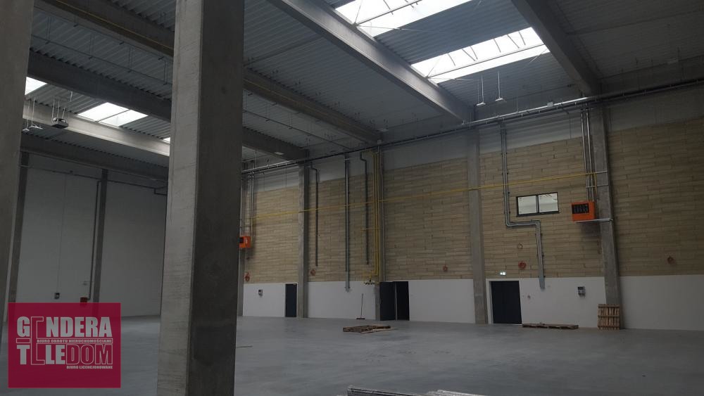 lokal użytkowy 1100m2 - Poznań