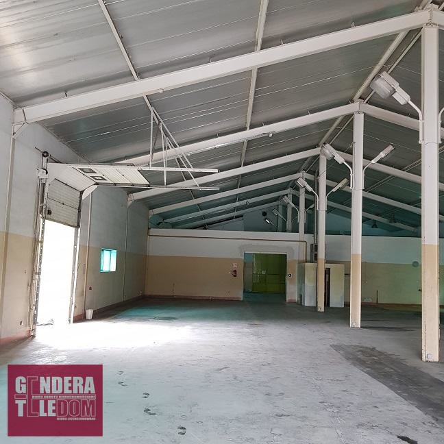 lokal użytkowy 1080m2 - Wysogotowo