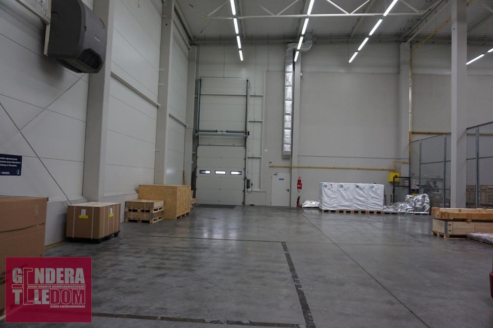 lokal użytkowy 630m2 - Wysogotowo