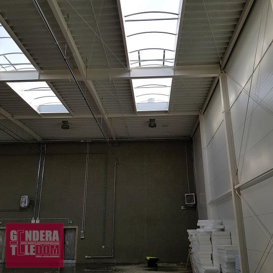 lokal użytkowy 423m2 - Poznań