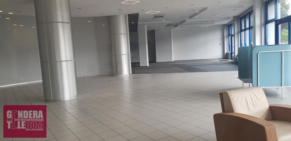 lokal użytkowy 250m2 - Poznań
