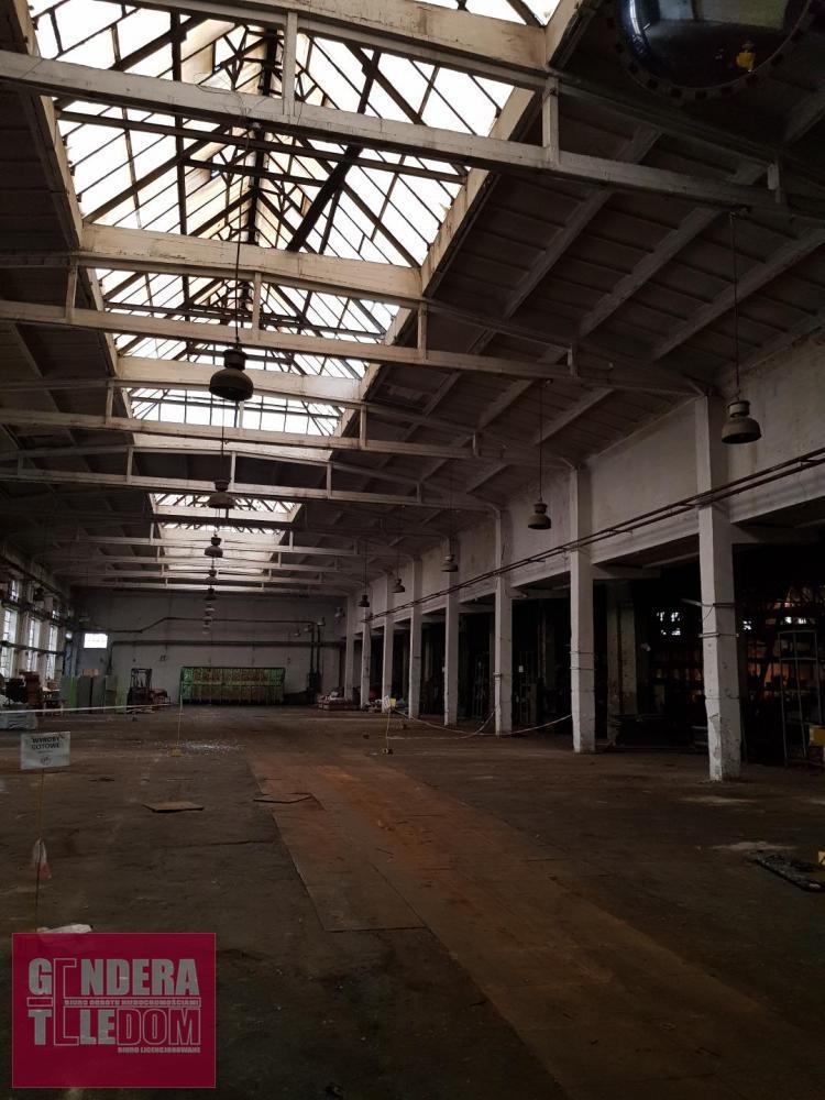 lokal użytkowy 1100m2 - Poznań