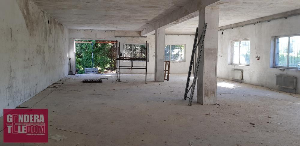 lokal użytkowy 250m2 - Skórzewo