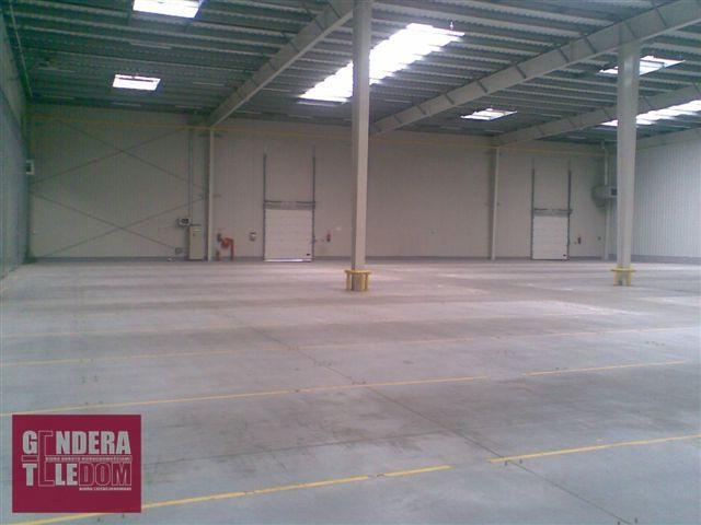lokal użytkowy 870m2 - Poznań