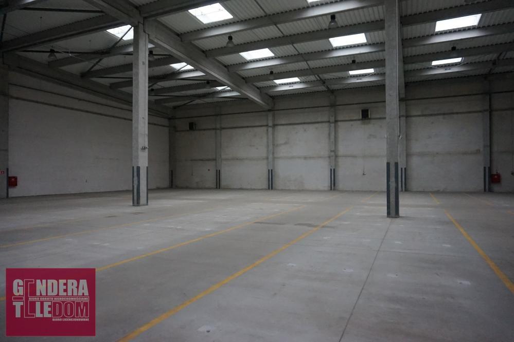 lokal użytkowy 2050m2 - Poznań