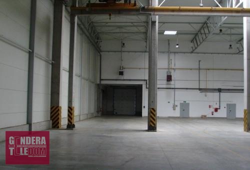lokal użytkowy 2280m2 - Suchy Las