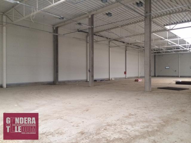 lokal użytkowy 2940m2 - Gądki