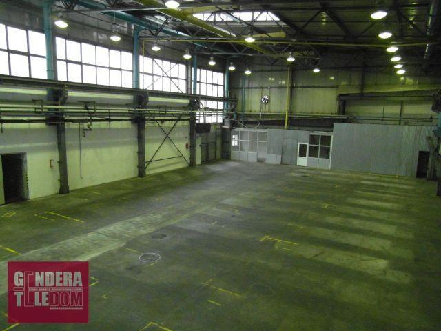 lokal użytkowy 700m2 - Poznań