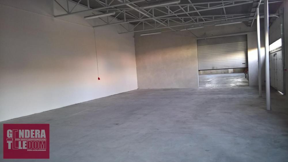lokal użytkowy 320m2 - Skórzewo