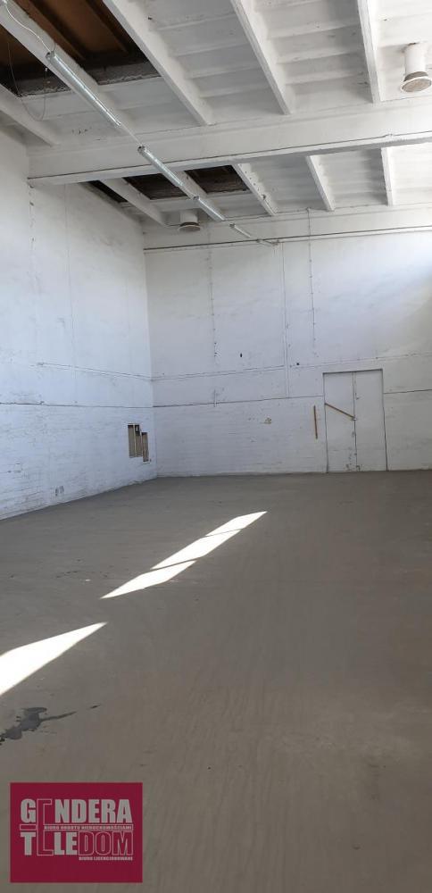 lokal użytkowy 250m2 - Poznań