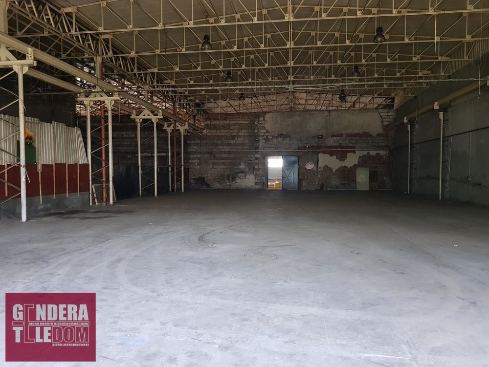 lokal użytkowy 5000m2 - Poznań-Nowe Miasto