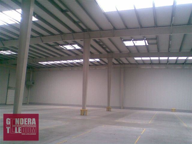 lokal użytkowy 3900m2 - Luboń