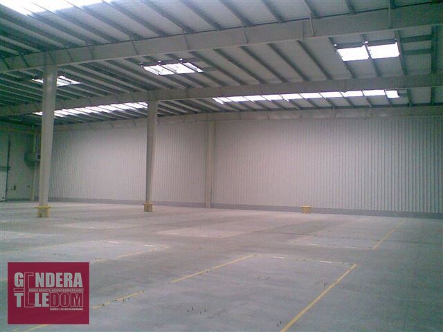 lokal użytkowy 2800m2 - Luboń