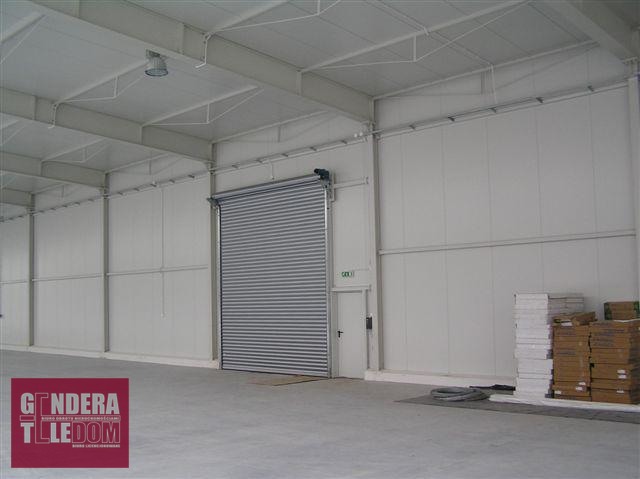 lokal użytkowy 1200m2 - Przeźmierowo